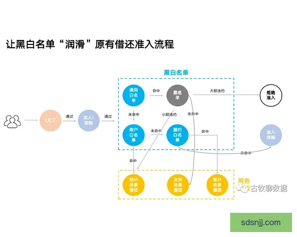 徐炎vs解析：从实力比拼到策略布局的全方位剖析